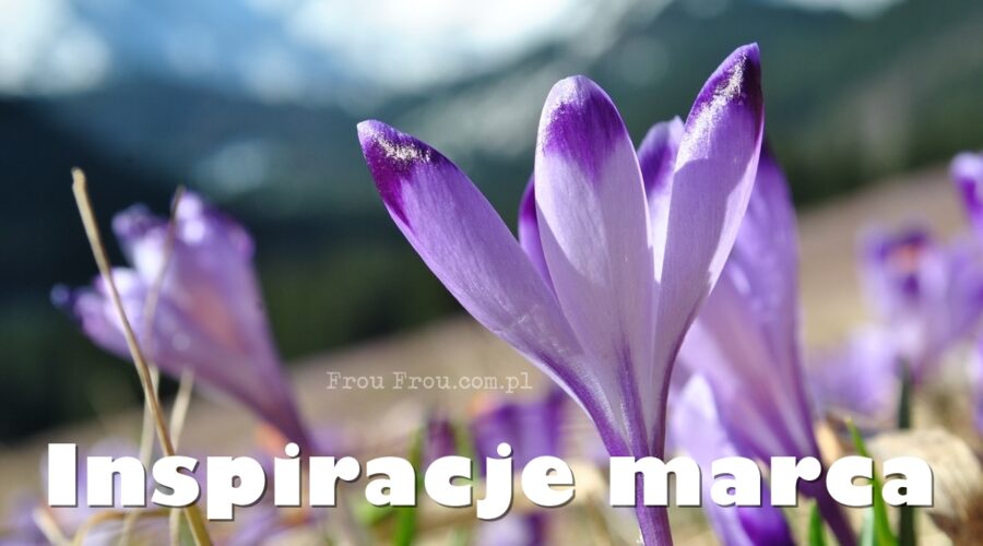 Inspiracje marca